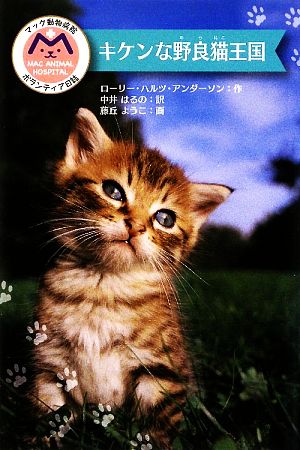 キケンな野良猫王国マック動物病院ボランティア日誌
