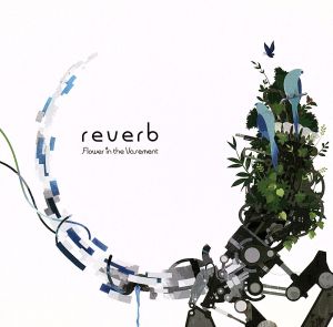 reverb