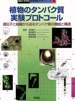 植物のタンパク質実験プロトコール