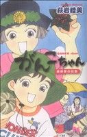 がんこちゃん～峰岸家の伝説～ クイーンズC