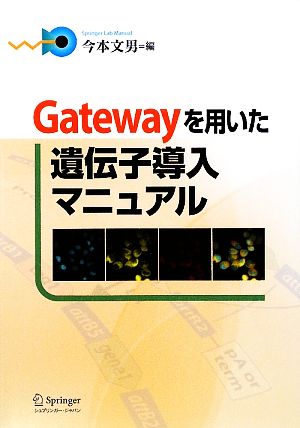 Gatewayを用いた遺伝子導入マニュアル