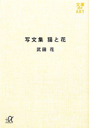 写文集 猫と花 講談社+α文庫