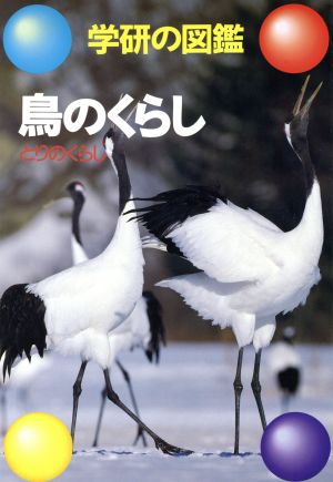 鳥のくらし 学研の図鑑