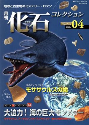 月刊化石コレクション(No.4)