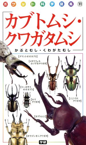 カブトムシ・クワガタムシ ポケット科学図鑑