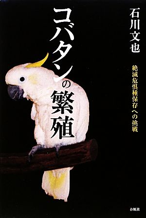 コバタンの繁殖 絶滅危惧種保存への挑戦