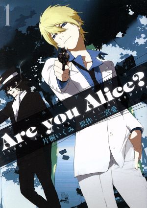 Are you Alice？(1)ゼロサムC