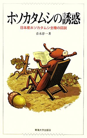 ホソカタムシの誘惑 日本産ホソカタムシ全種の図説