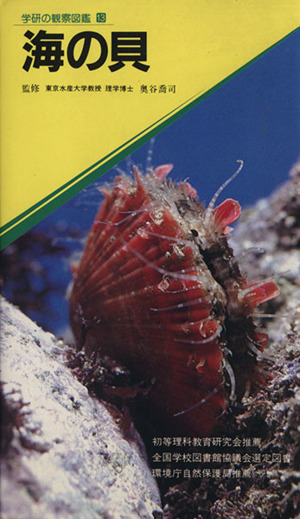 海の貝学研の観察図鑑13