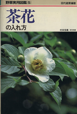 茶花の入れ方