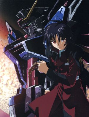 機動戦士ガンダムSEED DESTINY DVD-BOX 中古DVD・ブルーレイ