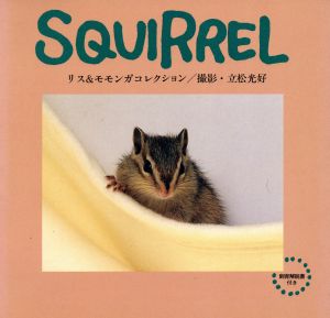 SQUIRREL リス&モモンガコレクシ