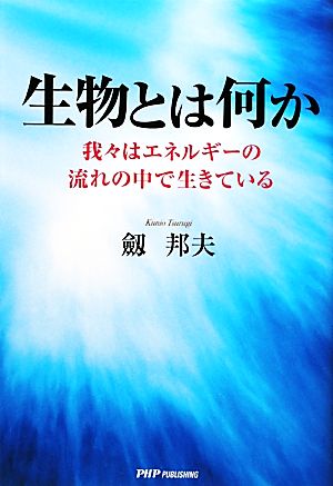 生物とは何か 我々はエネルギーの流れの中で生きている