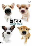 THE DOG ベスト・セレクション きらっこチーム ～チワワ、コーギー、パピヨン、柴～