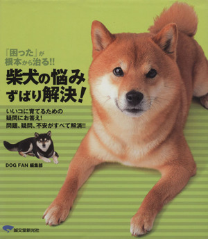 柴犬の悩み ずばり解決！