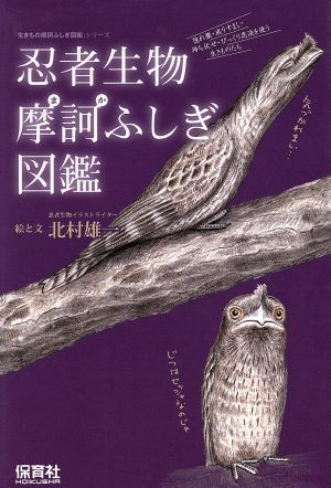 忍者生物摩訶ふしぎ図鑑 生きもの摩訶ふしぎ図鑑