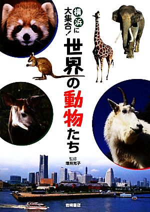 横浜に大集合！世界の動物たち