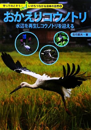 おかえりコウノトリ 水辺を再生しコウノトリを迎える 守ってのこそう！いのちつながる日本の自然3