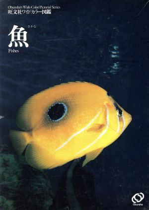 魚 旺文社ワイドカラー図鑑