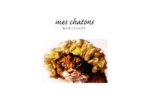 mes chatons 私のネコちゃんたち