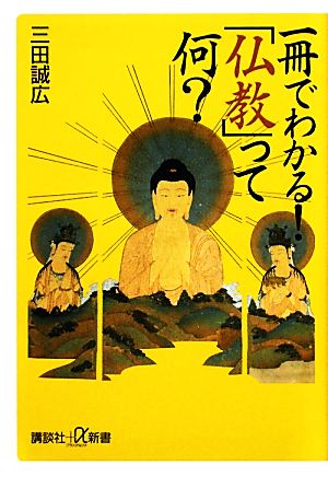 一冊でわかる！「仏教」って何？講談社+α新書