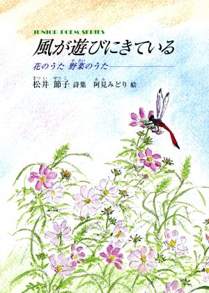 風が遊びにきている ジュニア・ポエム双書