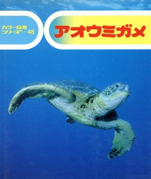 アオウミガメ カラー自然シリーズ48