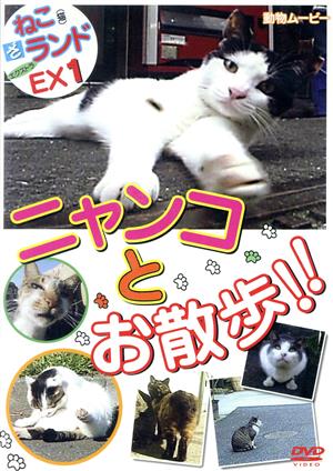 猫ざランドエクストラ1 ニャンコとお散歩!!動物ムービーDVDシリーズ2010日本