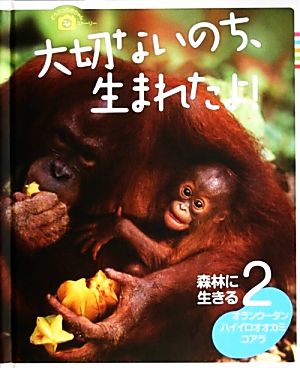 大切ないのち、生まれたよ！ どうぶつの赤ちゃんフォトストーリー(2) 森林に生きる オランウータン・ハイイロオオカミ・コアラ