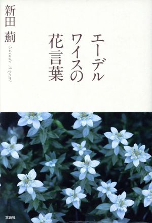 エーデルワイスの花言葉