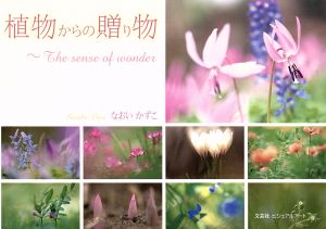 植物からの贈り物～The sense of wonder