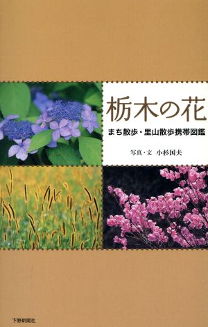 栃木の花 まち散歩・里山散歩携帯図鑑