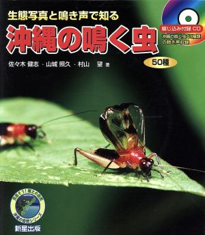沖縄の鳴く虫50種 生態写真と鳴き声で知