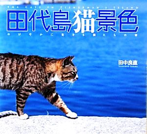 田代島猫景色のびやかに生きる猫たちの姿