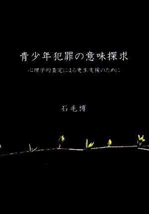 青少年犯罪の意味探求 心理学的査定による更生支援のために