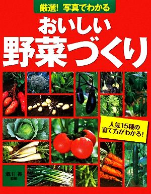 厳選！写真でわかるおいしい野菜づくり 人気15種の育て方がわかる！