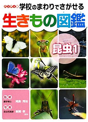 ハンディ版 学校のまわりでさがせる生きもの図鑑 昆虫(1)