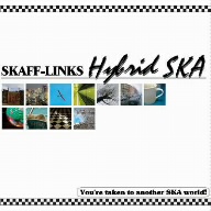 Hybrid SKA