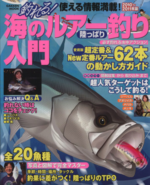 海のルアー釣り陸っぱり入門 2010-2011