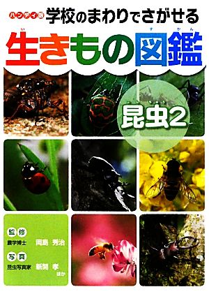 ハンディ版 学校のまわりでさがせる生きもの図鑑 昆虫(2)