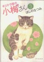 キジトラ猫の小梅さん(3)ねこぱんちC