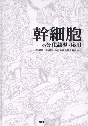 幹細胞の分化誘導と応用