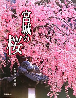 宮城の桜