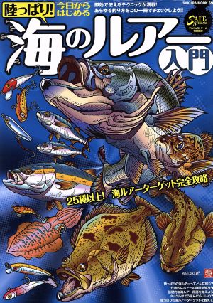 陸っぱり！今日からはじめる海のルアー入門