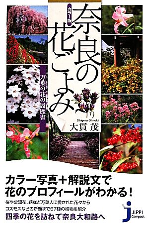 カラー版 奈良の花ごよみ 万葉の花の履歴書 じっぴコンパクト新書