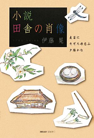 小説 田舎の肖像 麦笛にそぞろ母恋ふ夕陽かな