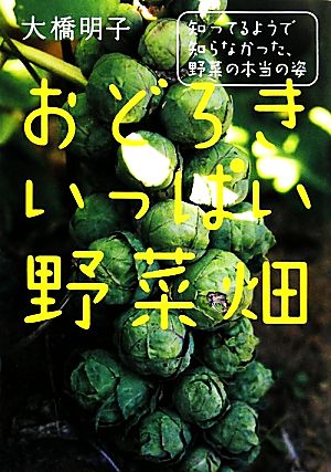 おどろきいっぱい野菜畑 知ってるようで知らなかった、野菜の本当の姿