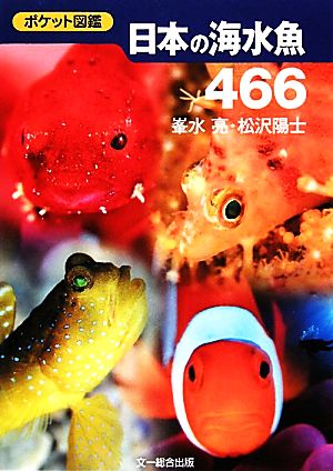 ポケット図鑑 日本の海水魚466