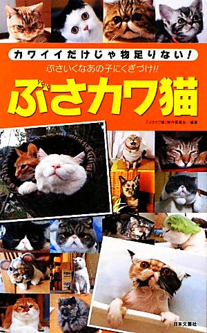 ぶさカワ猫カワイイだけじゃ物足りない！ぶさいくなあの子にくぎづけ!!日文新書日文実用PLUS