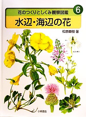 水辺・海辺の花花のつくりとしくみ観察図鑑6